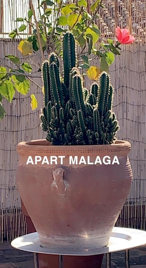 Appartement Plein Coeur Centre Historique De Málaga Esterno foto